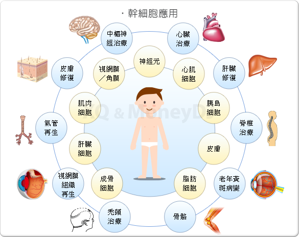 再生醫學 Moneydj理財網